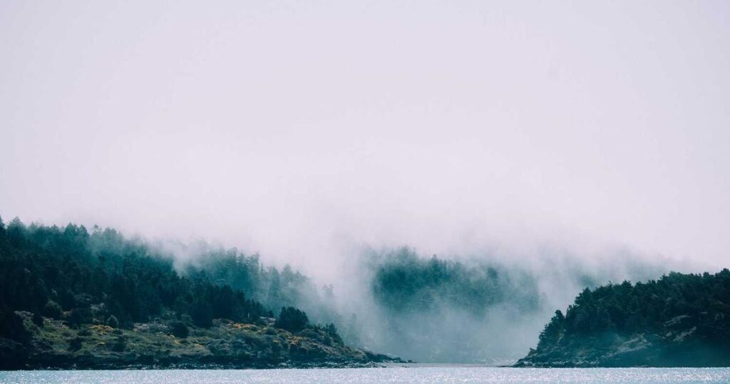 Construyendo Puentes hacia el Futuro