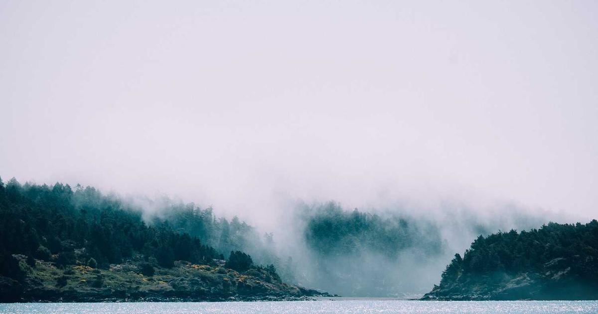 Construyendo Puentes hacia el Futuro