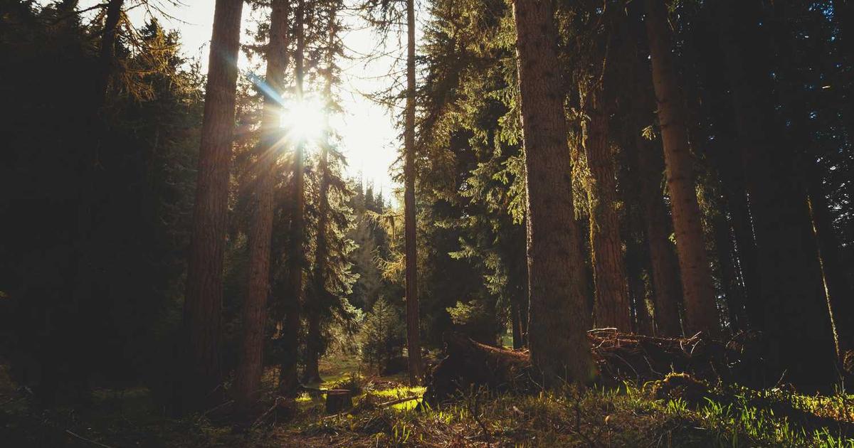 Construyendo Puentes hacia el Futuro