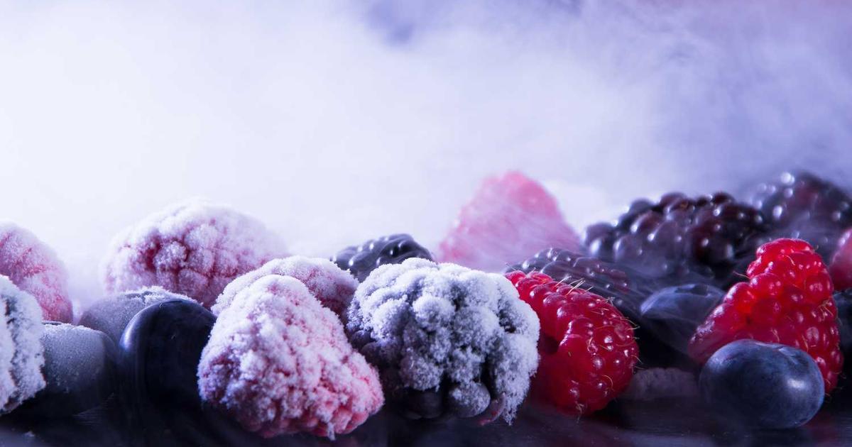 Construyendo Puentes hacia el Futuro