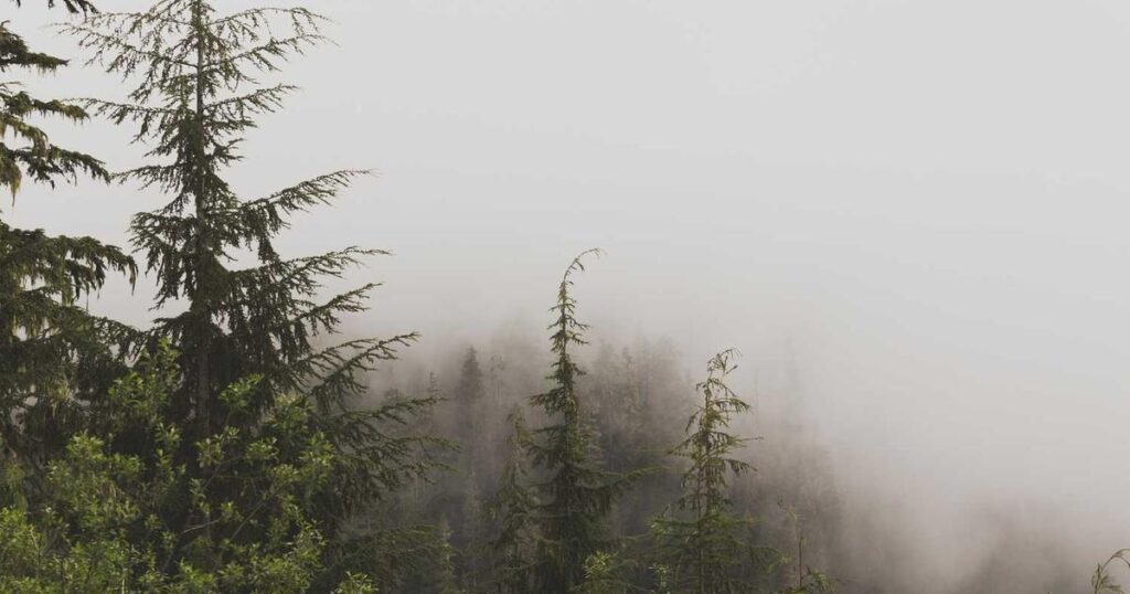 Construyendo Puentes hacia el Futuro