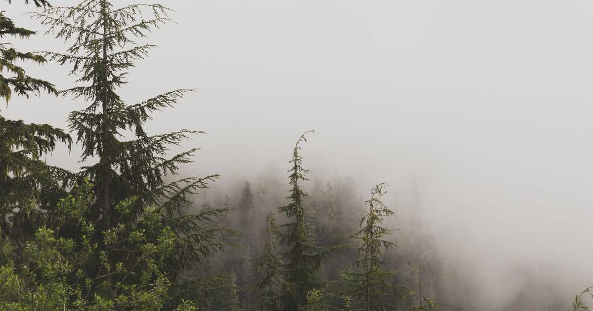 Construyendo Puentes hacia el Futuro