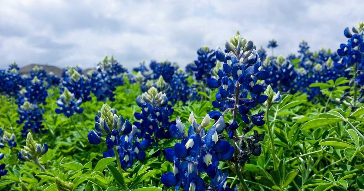 Construyendo Puentes hacia el Futuro