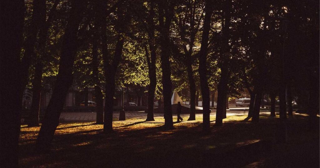 La Revolución Silenciosa de las Pequeñas Acciones