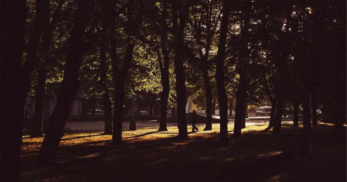 La Revolución Silenciosa de las Pequeñas Acciones